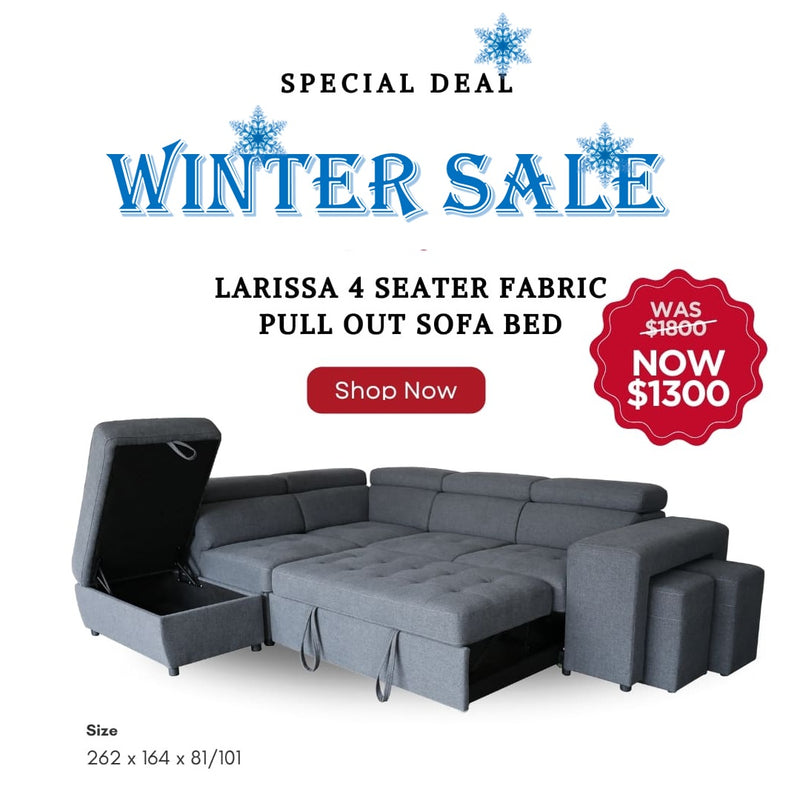 Larisaa 4 Seater Fabric Pull Out sofa bed